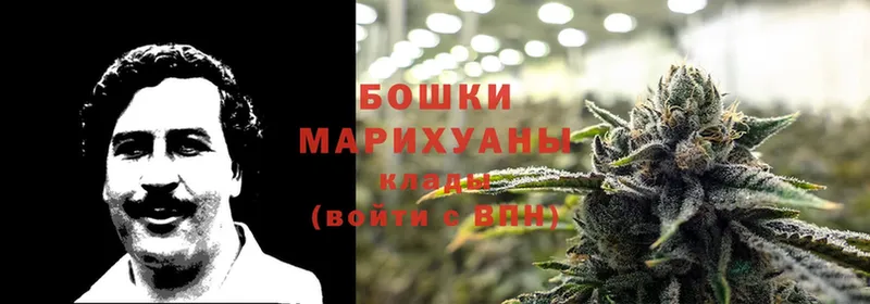 Каннабис Bruce Banner  МЕГА маркетплейс  Сарапул  наркошоп 